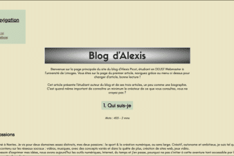 miniature présentant le site fait en html et css en l104